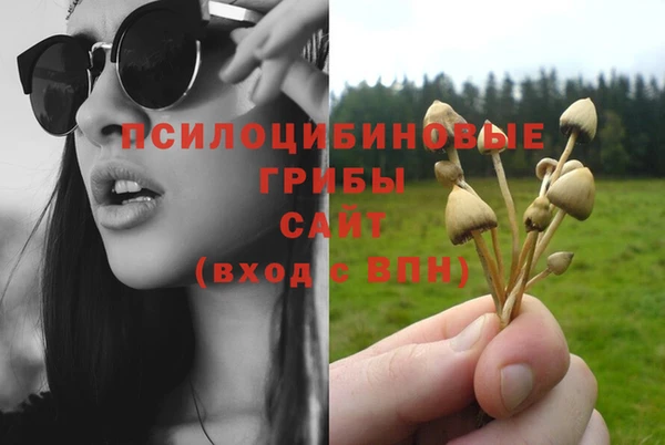 соль курить ск Аркадак