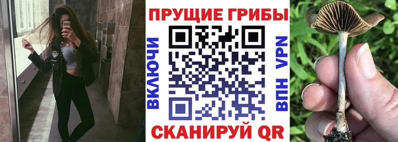 Псилоцибиновые грибы Psilocybine cubensis  mega зеркало  Няндома 